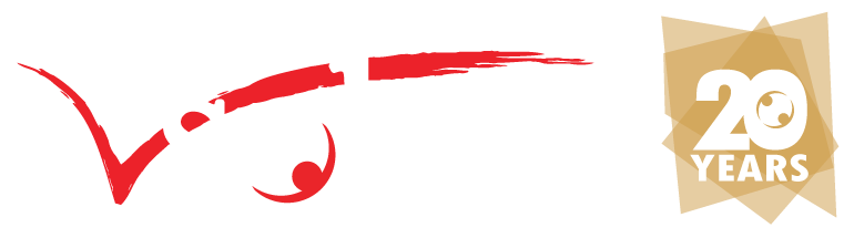 VSolvit 20 years of business